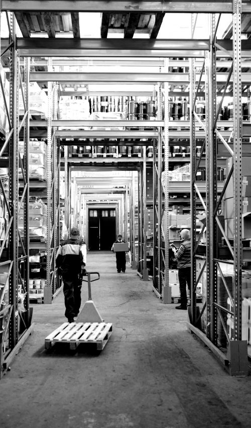 pexels-tiger-lily-4483772-scaled-blackwhite pexels-tiger-lily-4483772-scaled-blackwhite